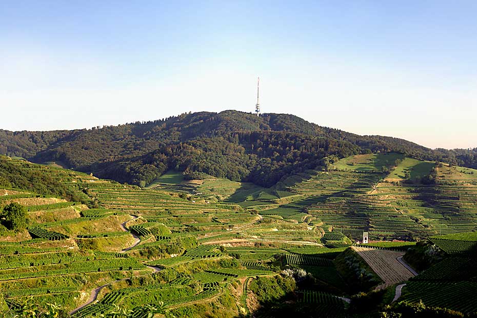 Blick auf den Kaiserstuhl